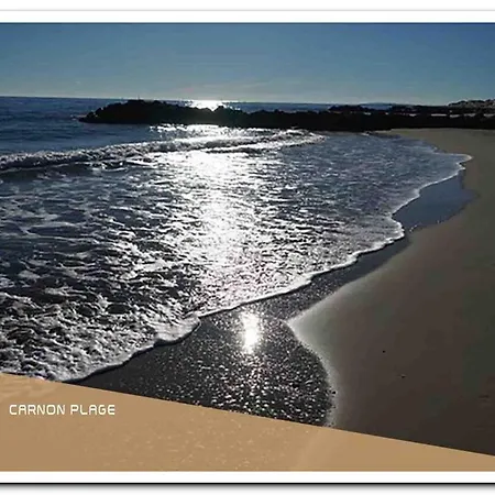 Le Papillon 01 *